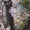DSC04367