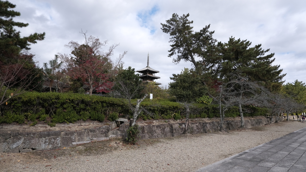 浅草善哉82