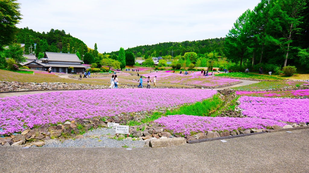 三木市