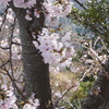 DSC04366