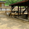 DSCF0433