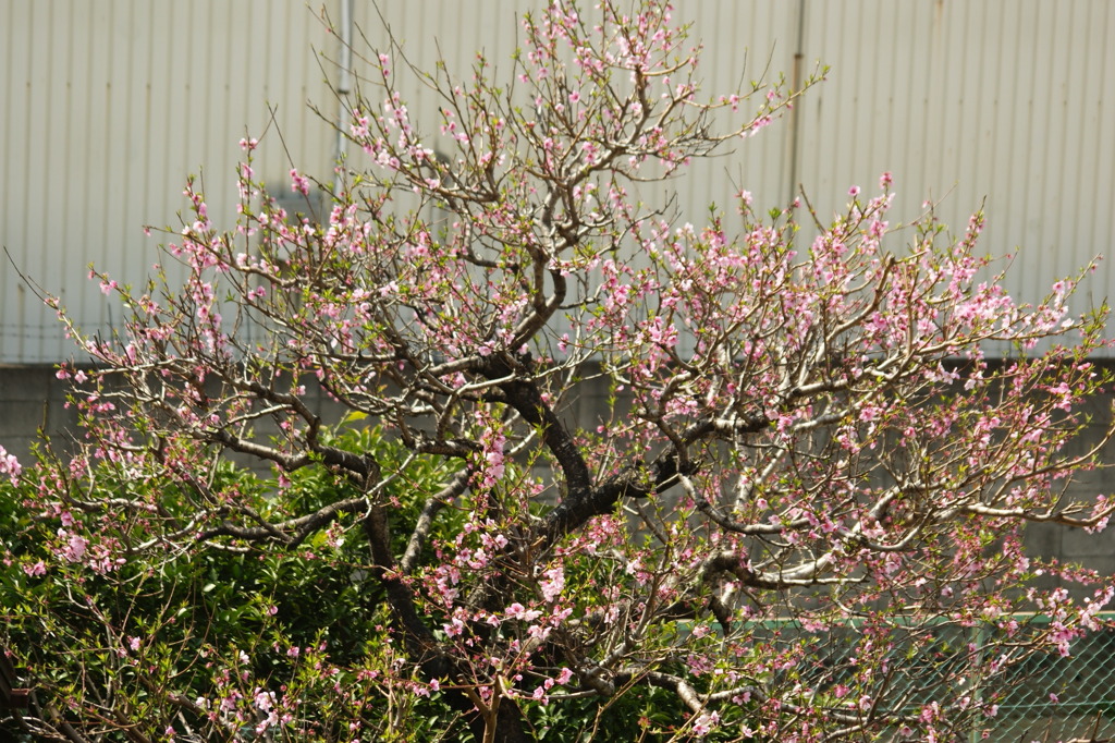 DSC02569