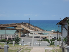 DSCN0212