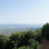 DSC03559
