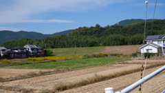 D659A636-0E50-40A5-BD21-47F28CE20600