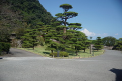 DSC05026
