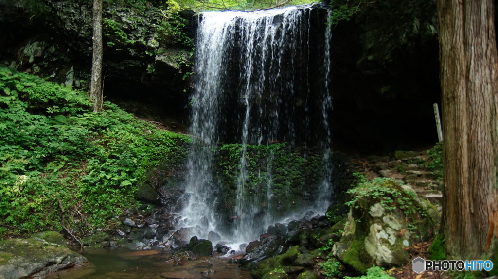 DSC04139