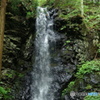 DSC04206