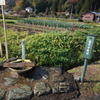 DSC03382
