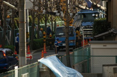 勤労感謝の日１