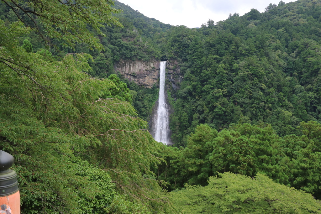 那智の滝　浅草善哉55