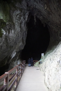 DSC04693