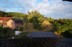 DSC03286