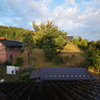 DSC03286
