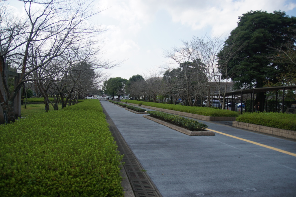 DSC05001
