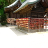 DSCF0324