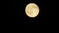 DSC03975