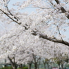 P1000091
