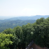 DSC03534