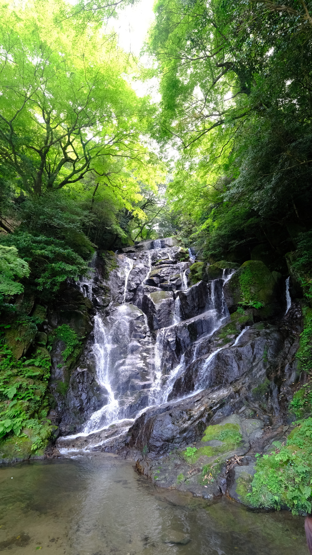 白糸の滝　浅草善哉95