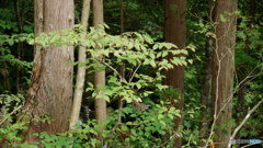 DSC04127