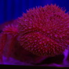 DSC04090