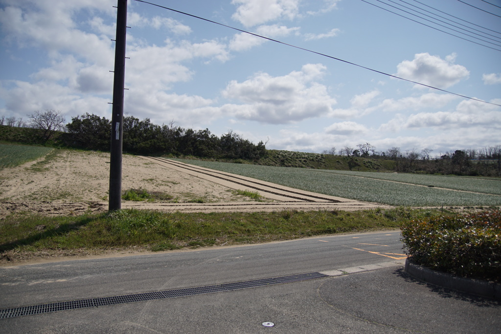 DSC04342