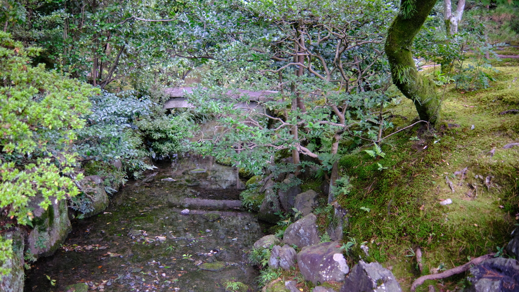 DSCF0195