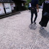 IMG_0091