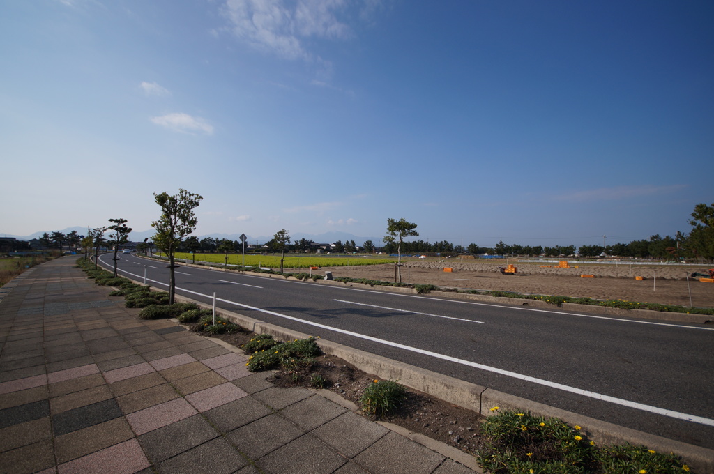 大栄道の駅への道