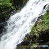 DSC04189