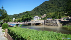 DSC04233