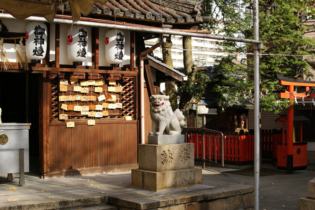 カメラ目線