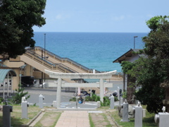 DSCN0211