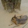 DSCF0445