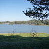 DSC04415