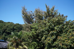 DSC03205