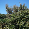 DSC03205