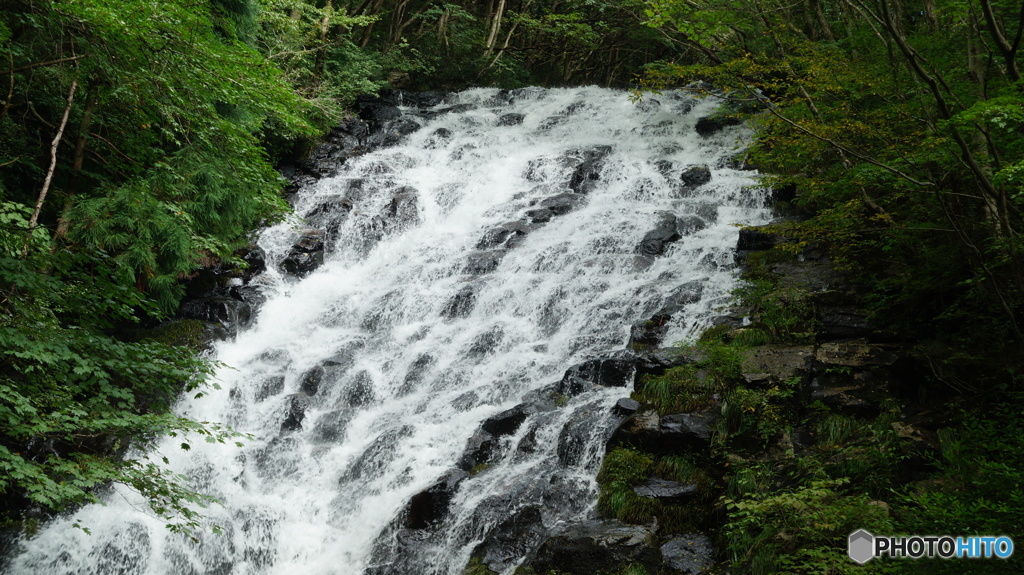 DSC04159