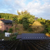 DSC03287
