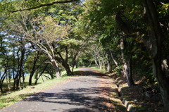 DSC03234