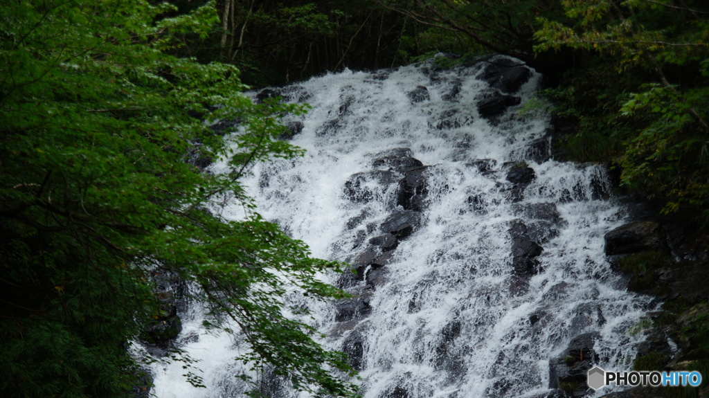 DSC04182
