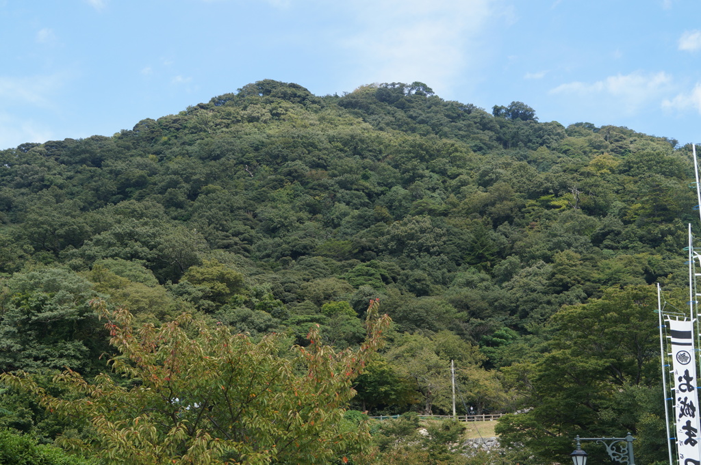 久松山　浅草善哉3