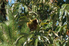 DSC03214