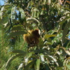 DSC03214