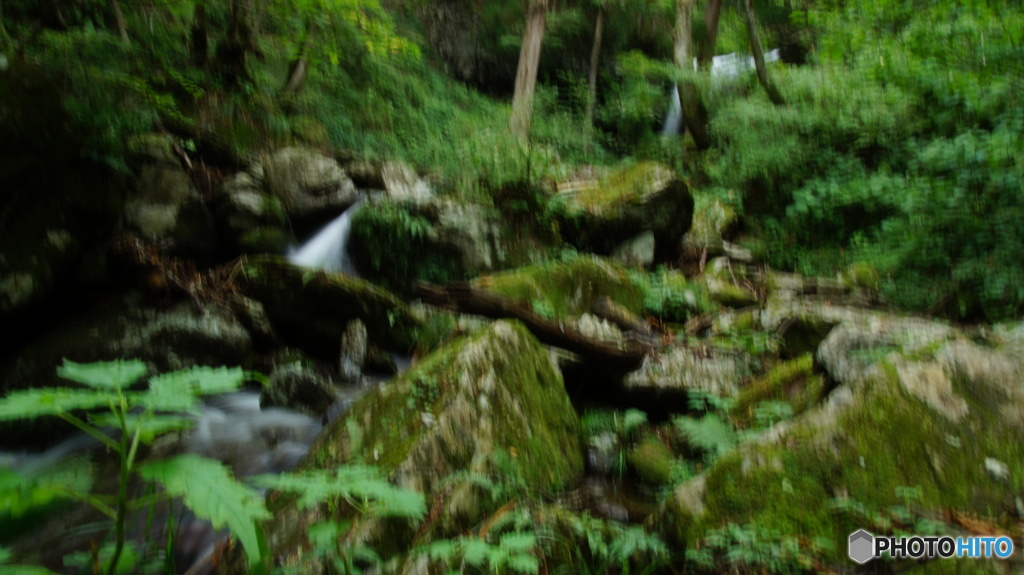 DSC04134