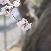 DSC04368