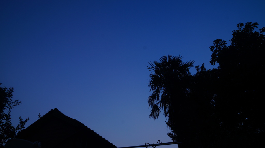 DSC03969