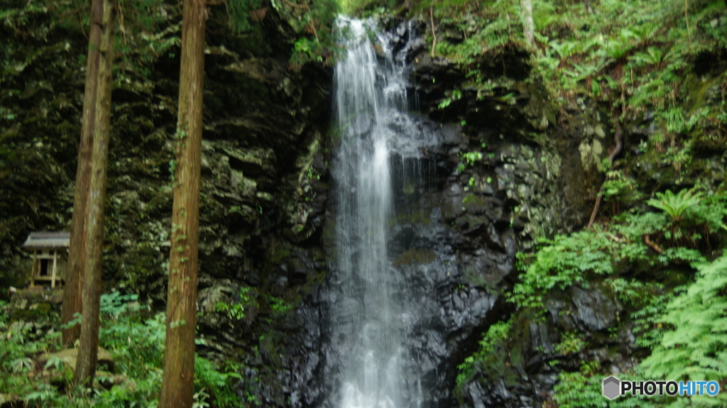 DSC04205