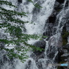 DSC04183